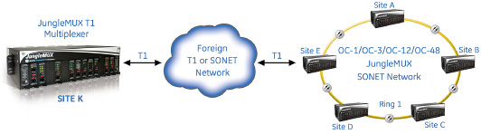 Lentronics T1 Multiplexer Multiplexing Solutions for Critical Communications